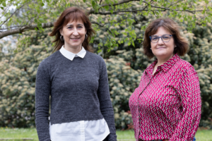 Hezkuntza, musika eta narrazio digitala uztartu dituzte, TikTok sare sozialean eduki hezigarriak sortzeko