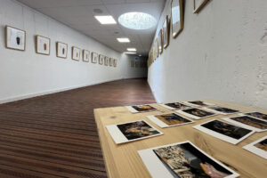 ‘Tokiko artoak’ erakusketak elikagai horren aldaerak, kokalekuak eta berezitasunak jarriko ditu balioan